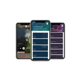 1-Year Premium Subscription (for Muse Headband)