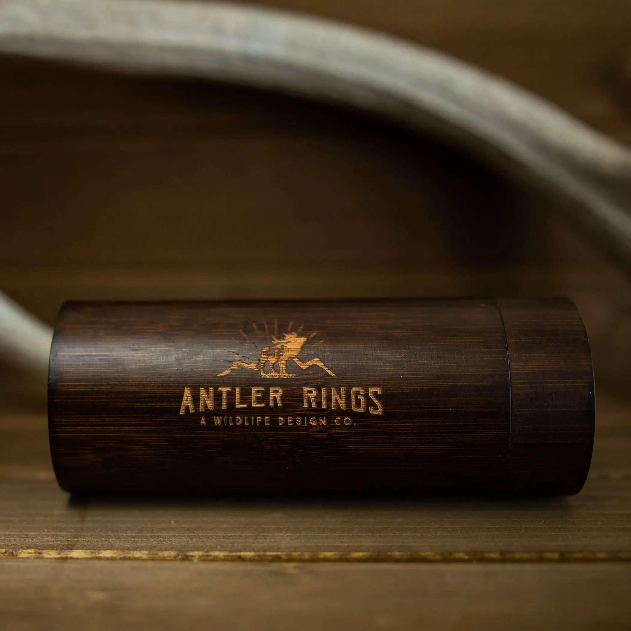 Antler Sunglasses Case