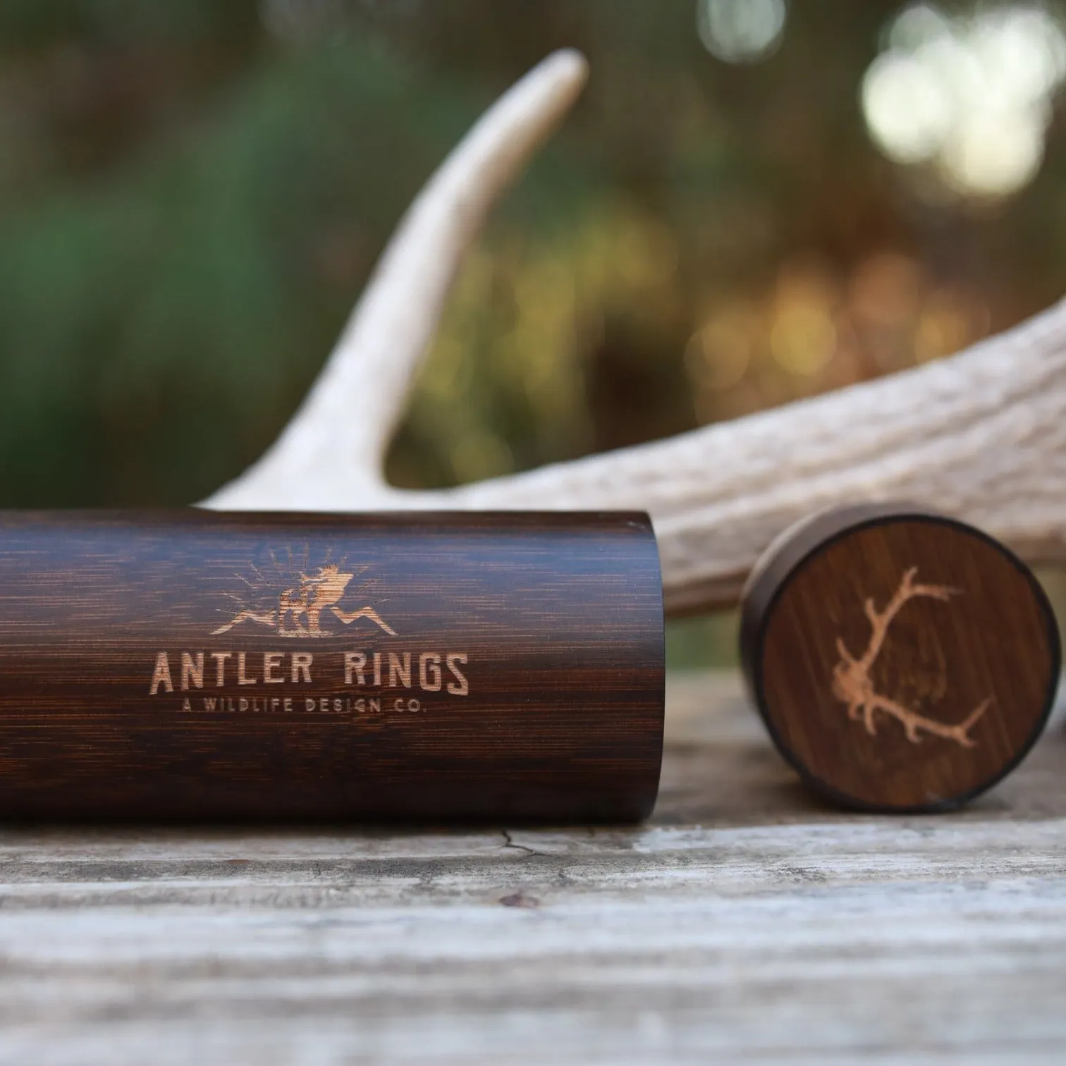 Antler Sunglasses Case