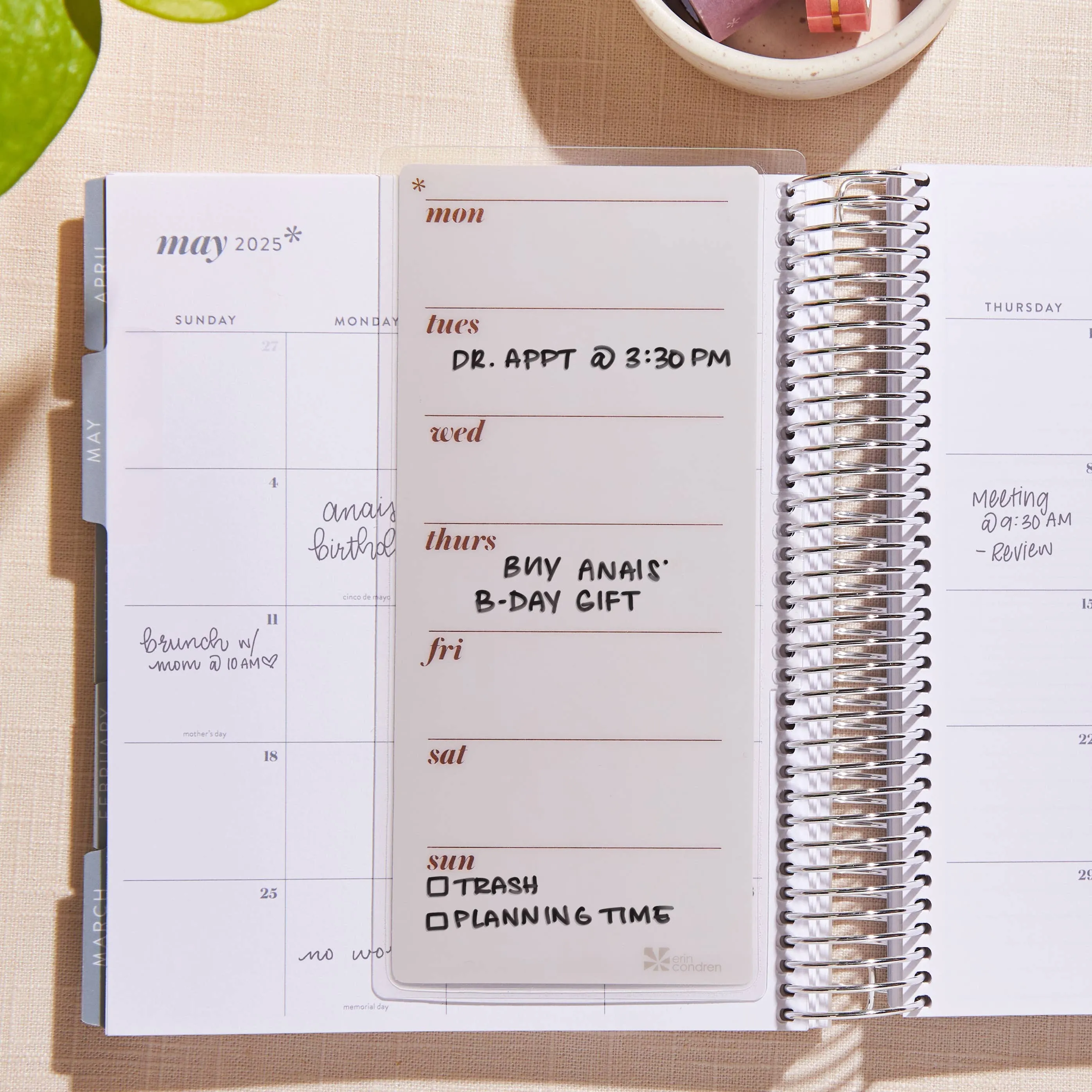 Erin Condren Canvas Asterisk To-Do List Dashboard - Snap-In