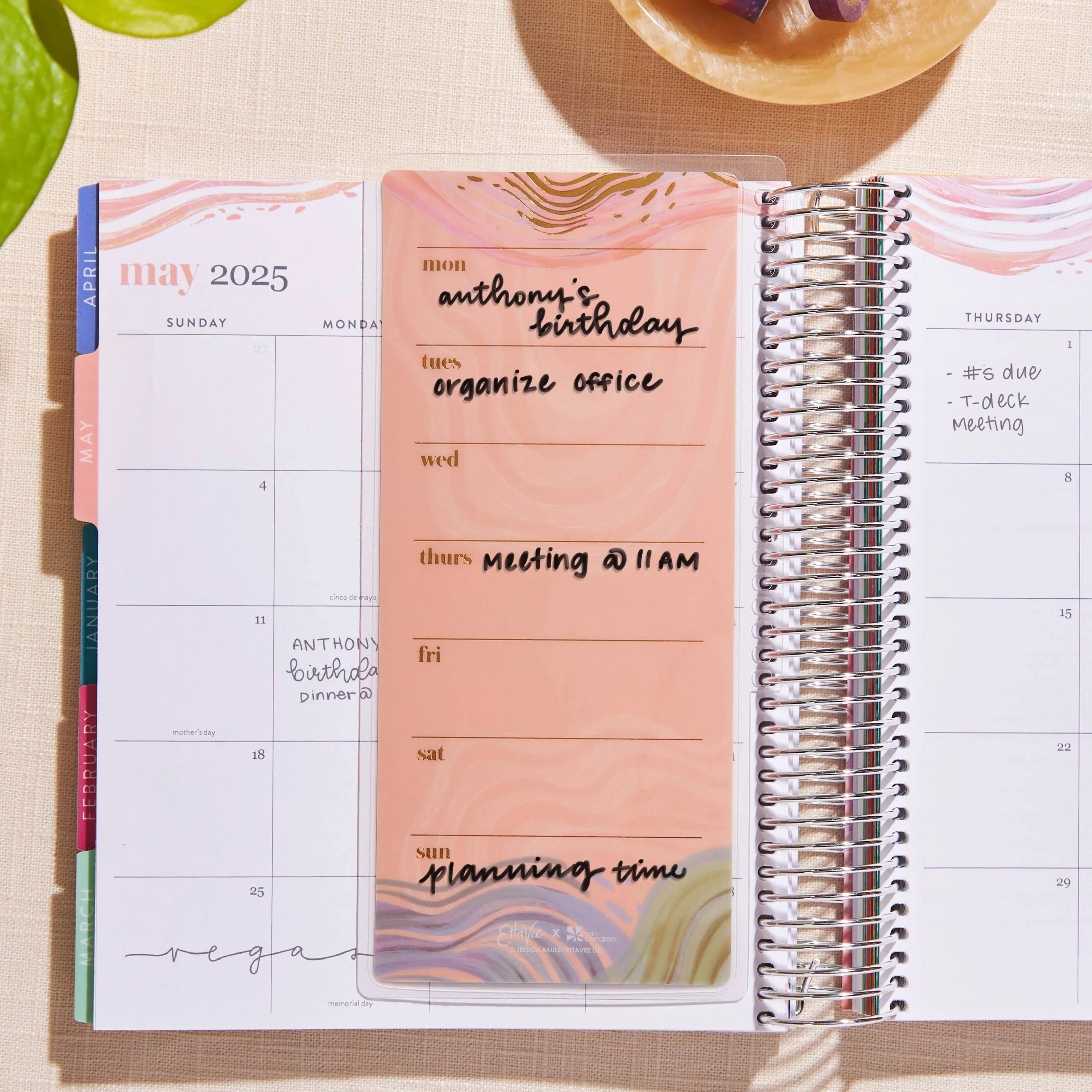 Erin Condren Evolve To-Do List Dashboard - Snap-In