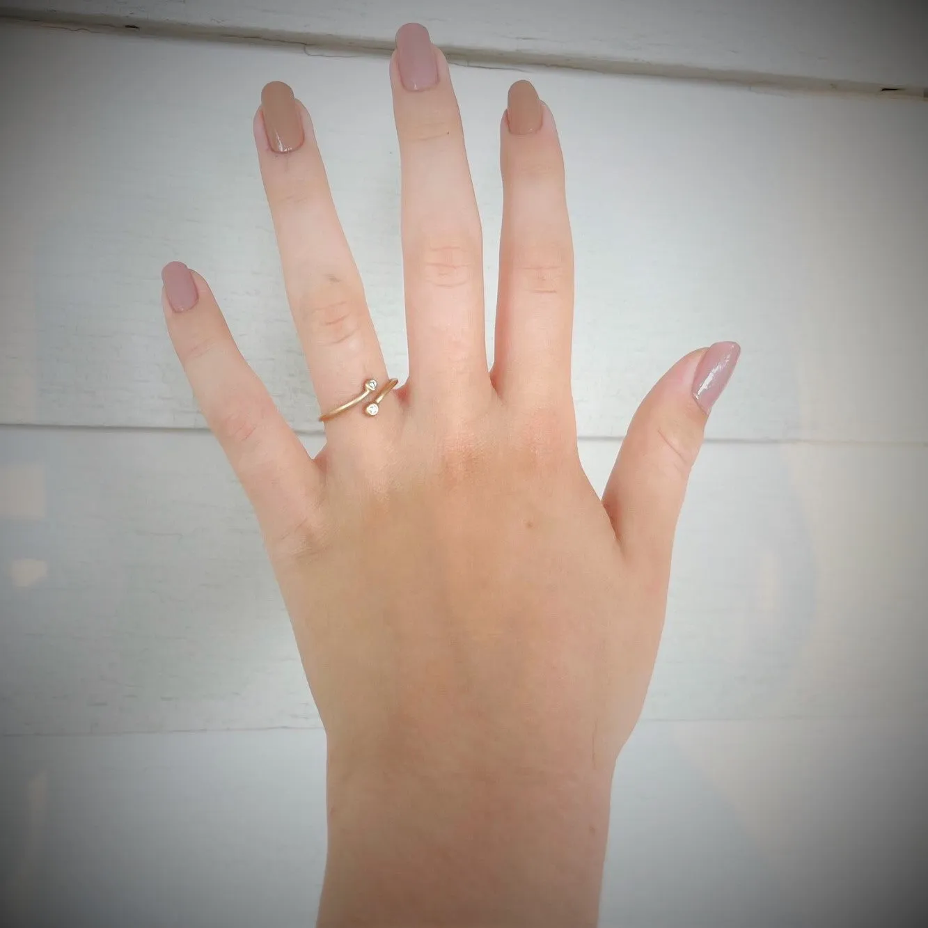 <!--RG782-->bypass ring