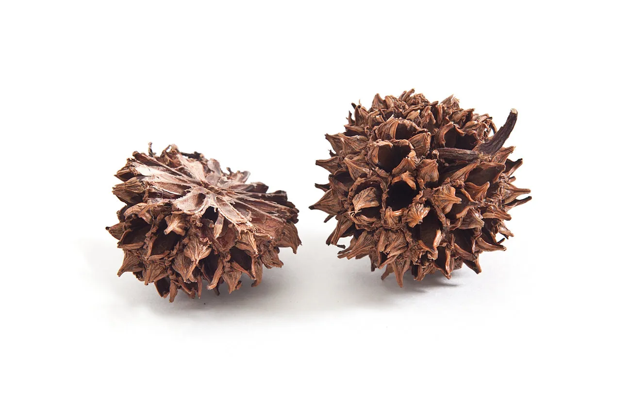 Patina Sweetgum Smooth Ring