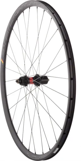 Quality Wheels DT 240 / Belgium  Rear Wheel