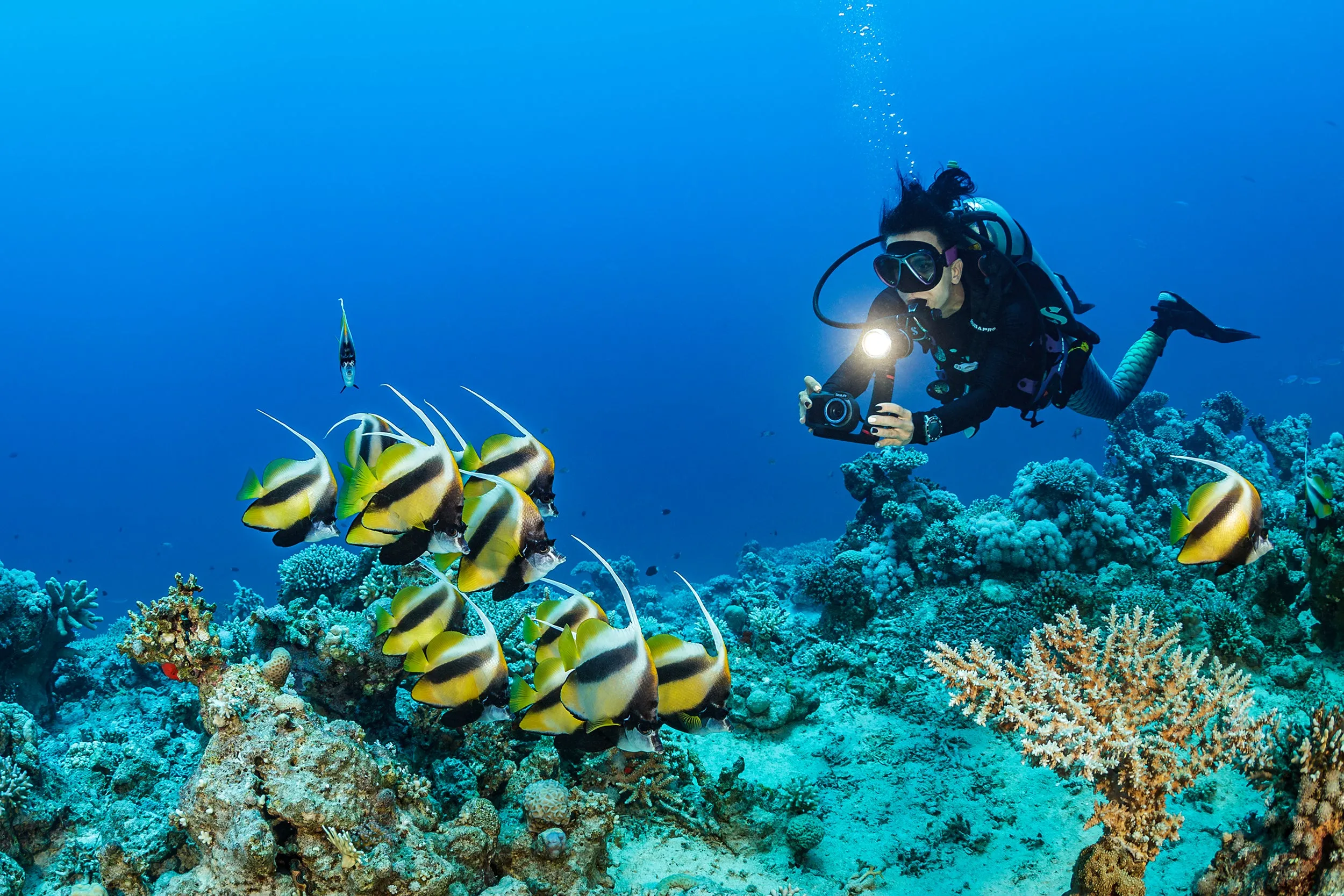 SeaLife Micro 3.0 Limited Edition Explorer Underwater Camera Gift Set for Photography & Video, Easy Set-up, Includes Sea Dragon 2300F Photo-Video Light