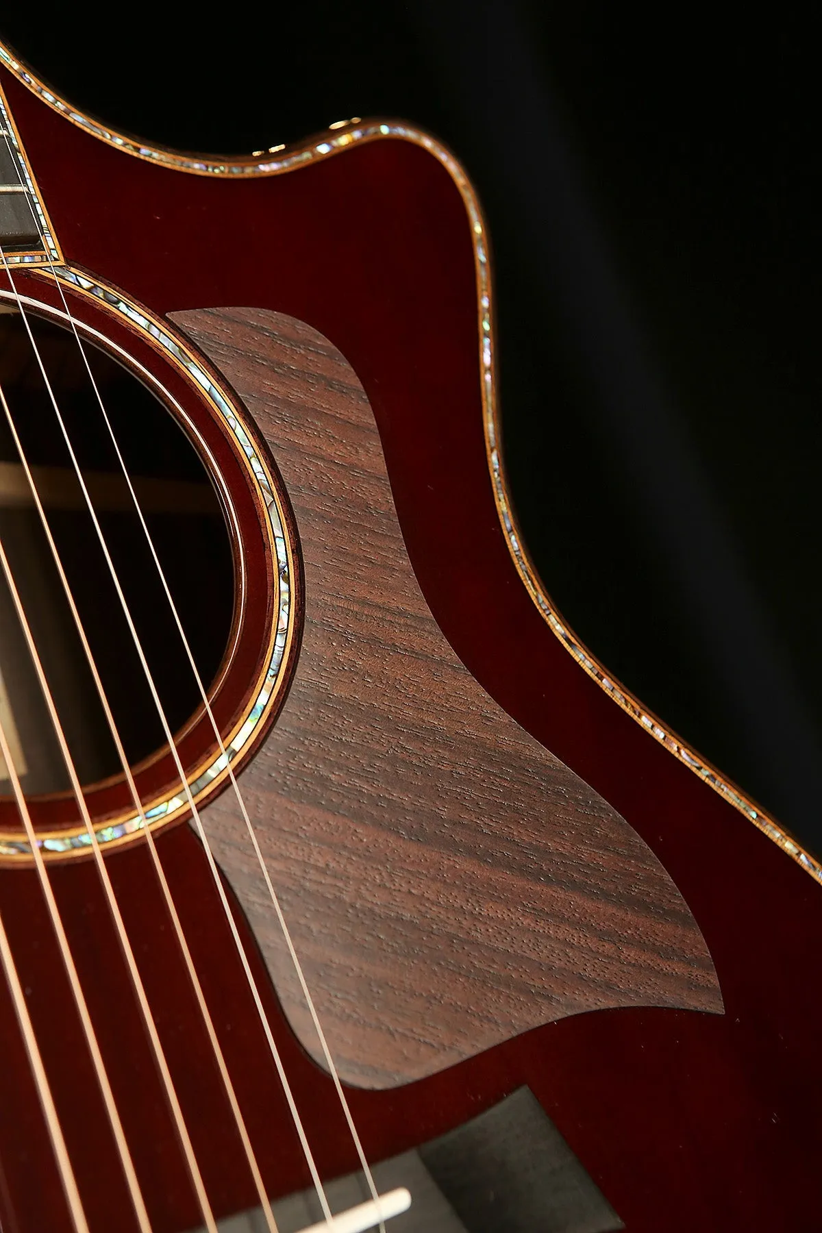Taylor 'Custom Catch' NAMM Exclusive 'Western Red Cedar / Indian Rosewood' Acoustic Electric Guitar